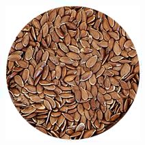 Flax Seed Alberta